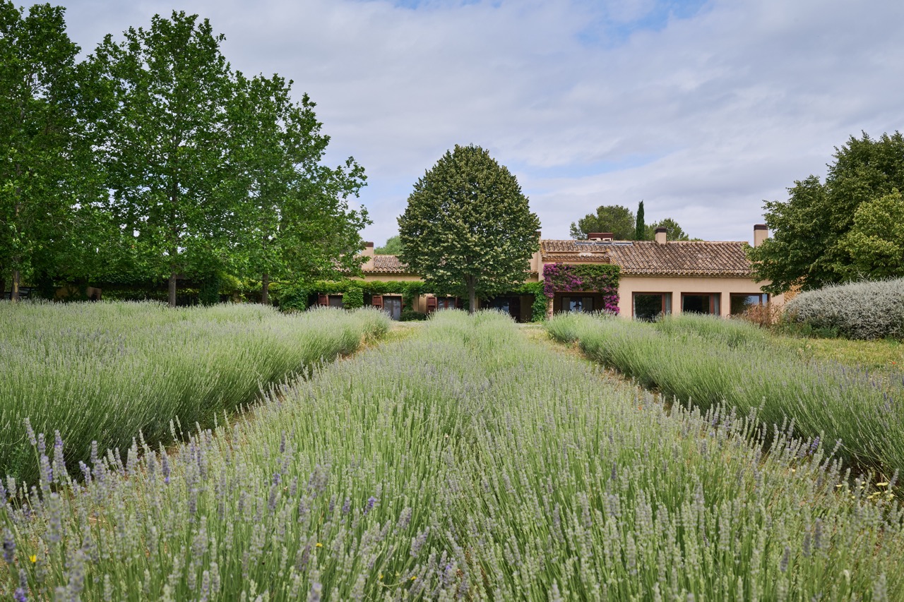 Fontanilles_DSC7153