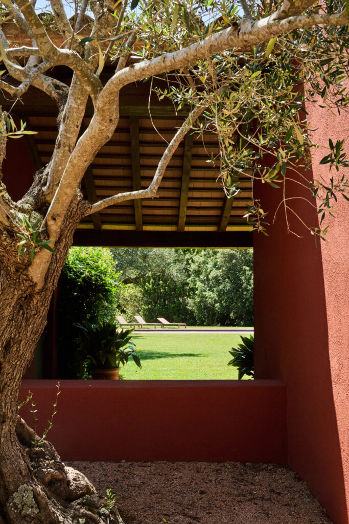 casa-montras-vista-arbol-sorensen
